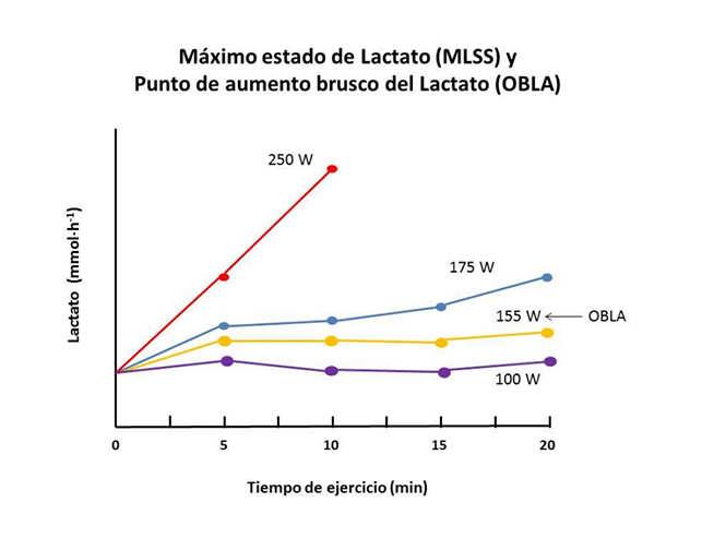 Test de lactato